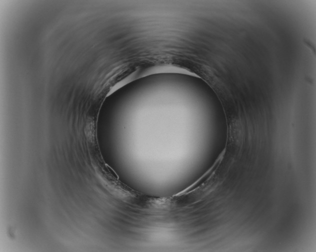 X0000099960092200806061616