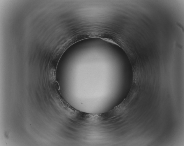 X0000099960093200806061616