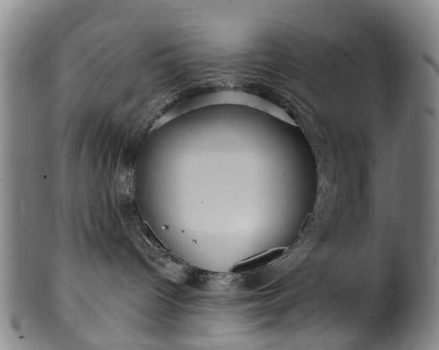 X0000099960096200806061616