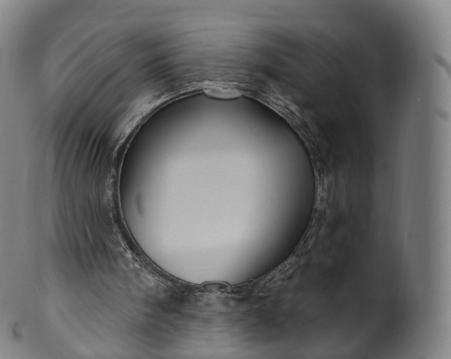 X0000099960098200806061615