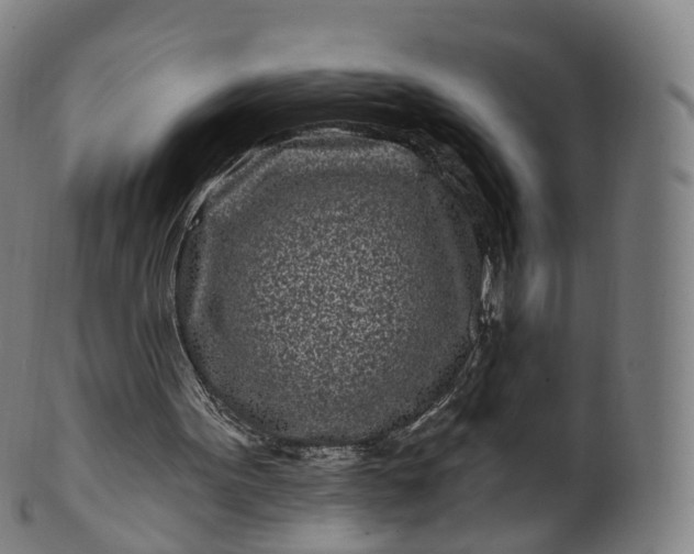 X0000099960099200806061615