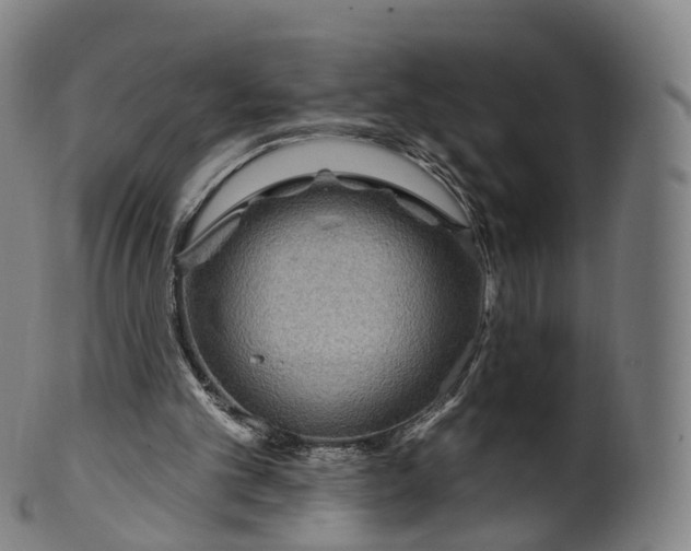 X0000099960101200806061615