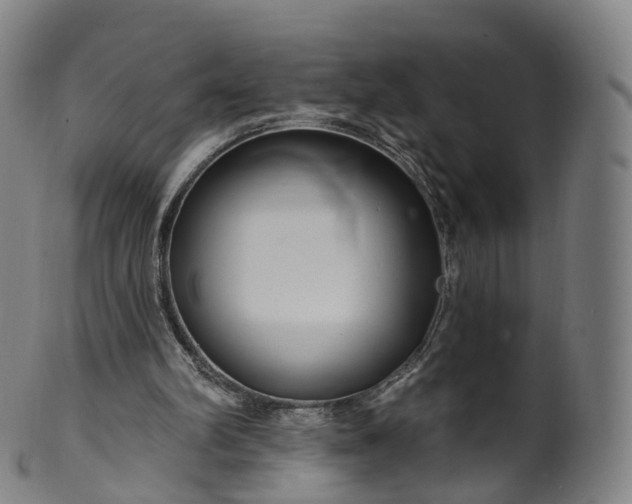 X0000099960102200806061615