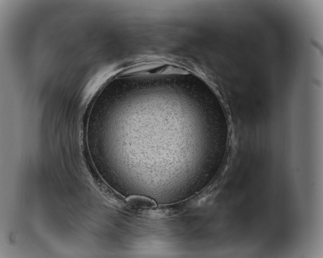 X0000099960103200806061615