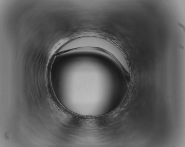 X0000099960104200806061615