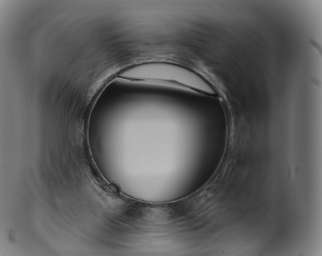 X0000099960107200806061615