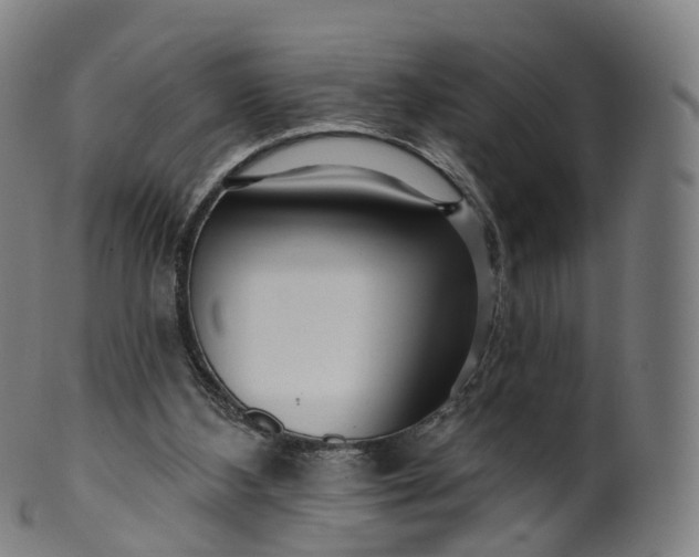 X0000099960108200806061615