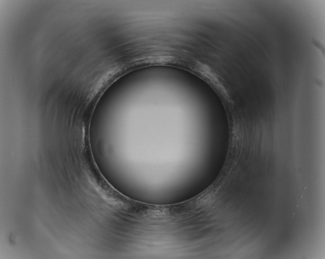 X0000099960110200806061615