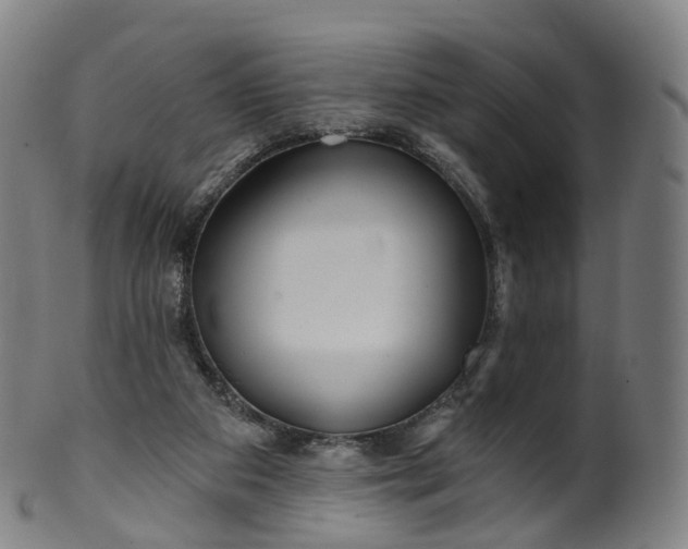 X0000099960113200806061615