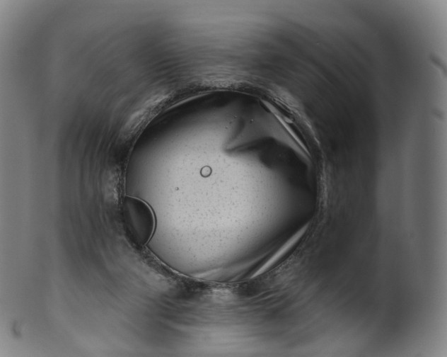 X0000099960114200806061615