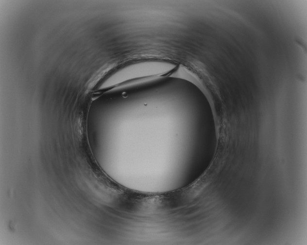 X0000099960116200806061615