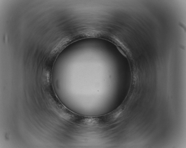X0000099960117200806061615