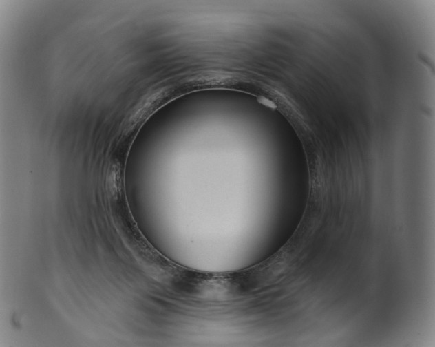 X0000099960119200806061615