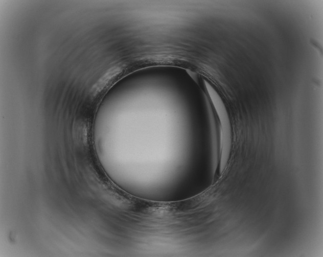 X0000099960120200806061615