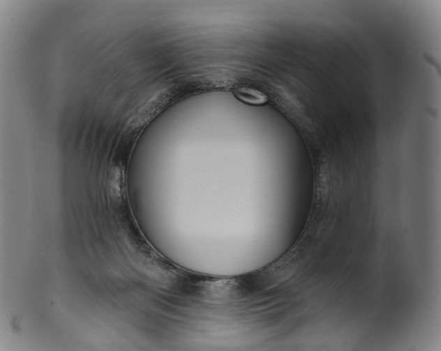 X0000099960122200806061615