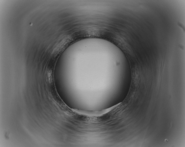 X0000099960123200806061615
