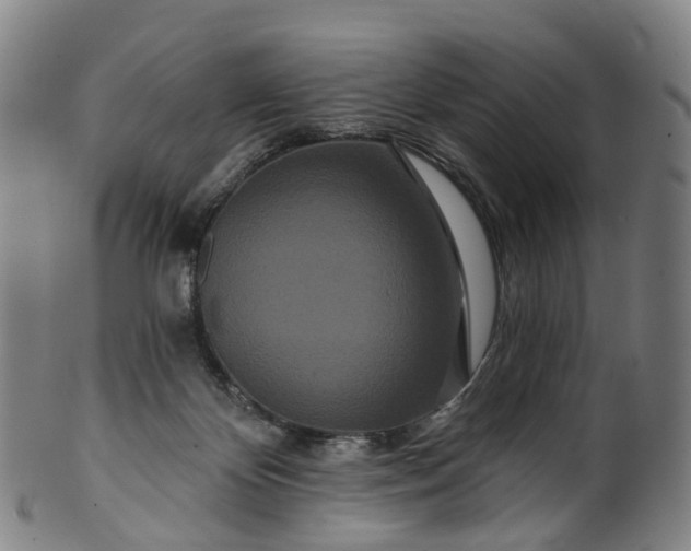 X0000099960124200806061615