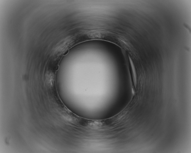 X0000099960125200806061615