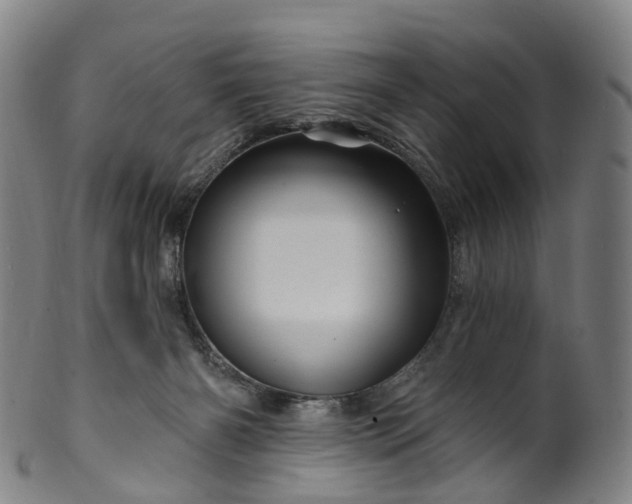 X0000099960126200806061615