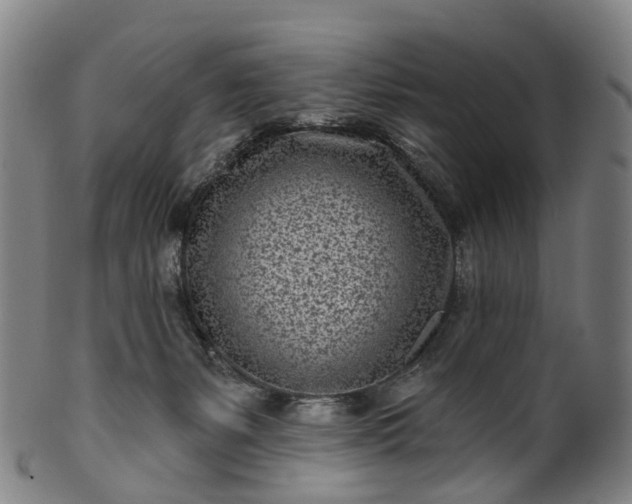 X0000099960127200806061615
