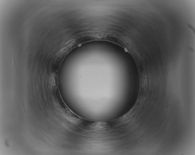 X0000099960128200806061615
