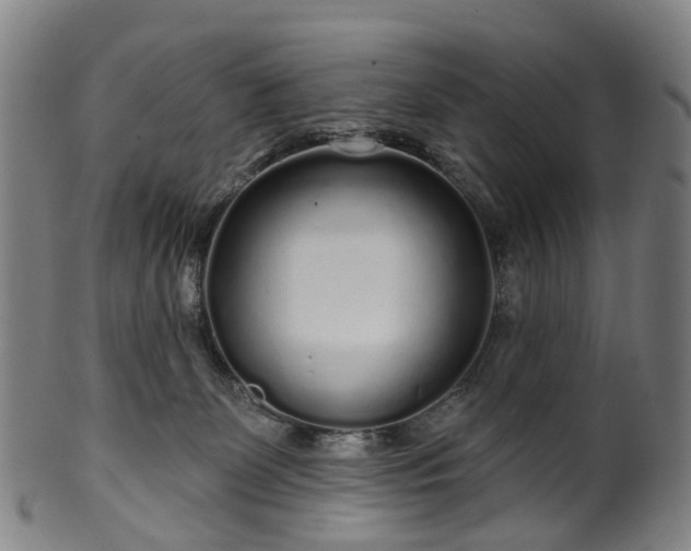 X0000099960131200806061615