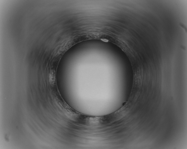 X0000099960134200806061615