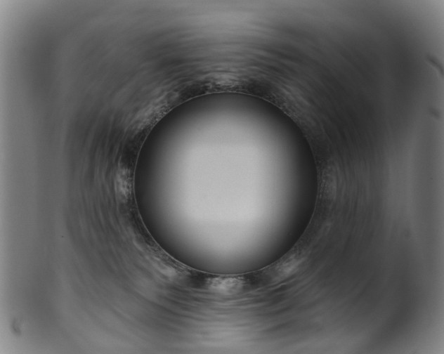 X0000099960135200806061615