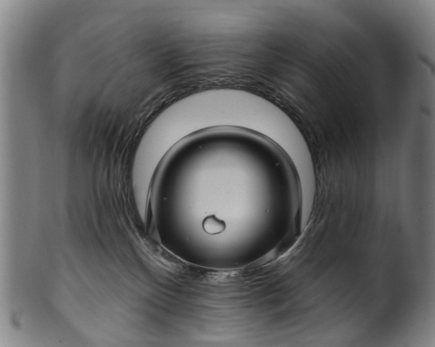 X0000099960136200806061615