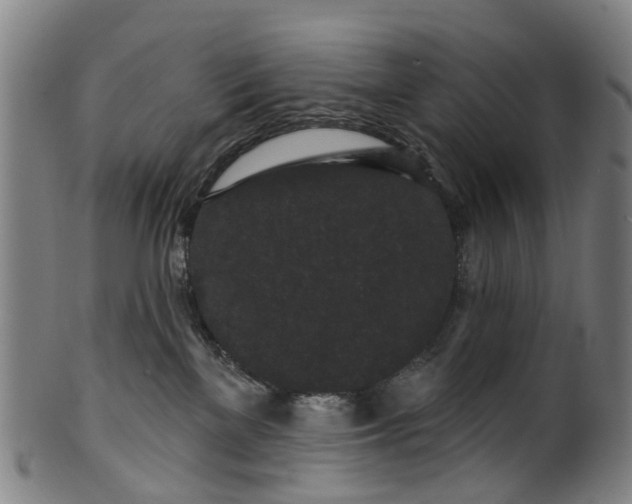 X0000099960137200806061614