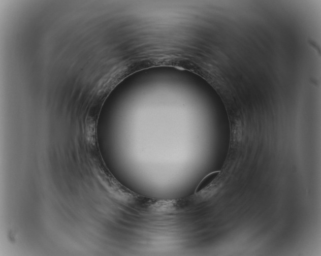 X0000099960138200806061614