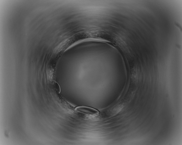 X0000099960139200806061614