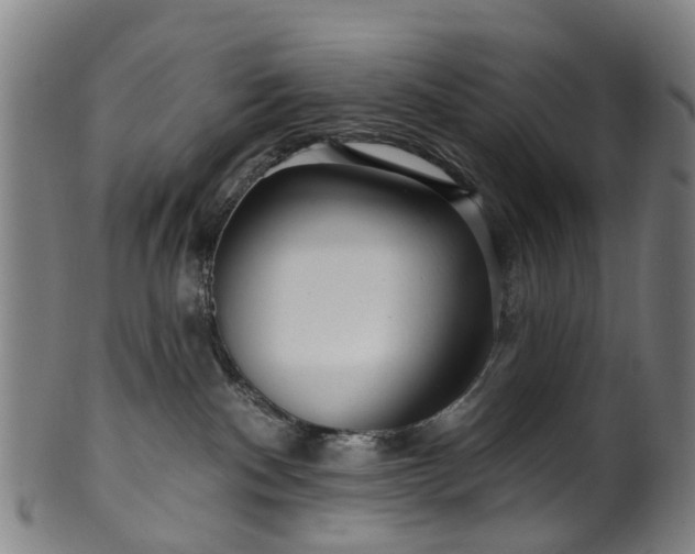 X0000099960140200806061614