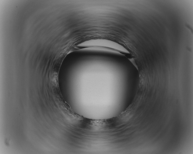 X0000099960141200806061614