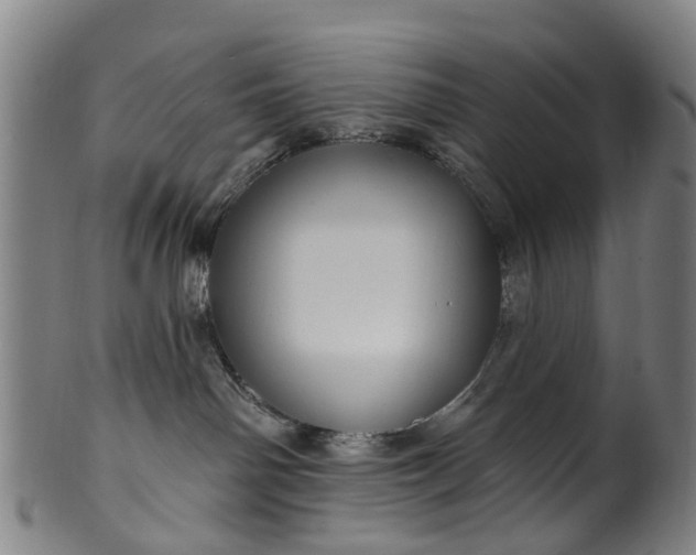 X0000099960142200806061614
