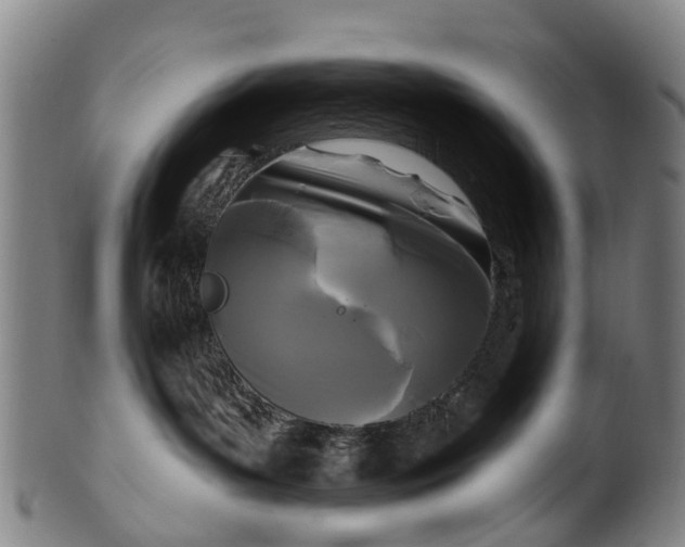 X0000099960143200806061614