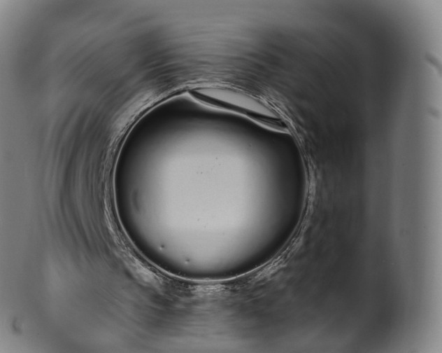 X0000099960145200806061614