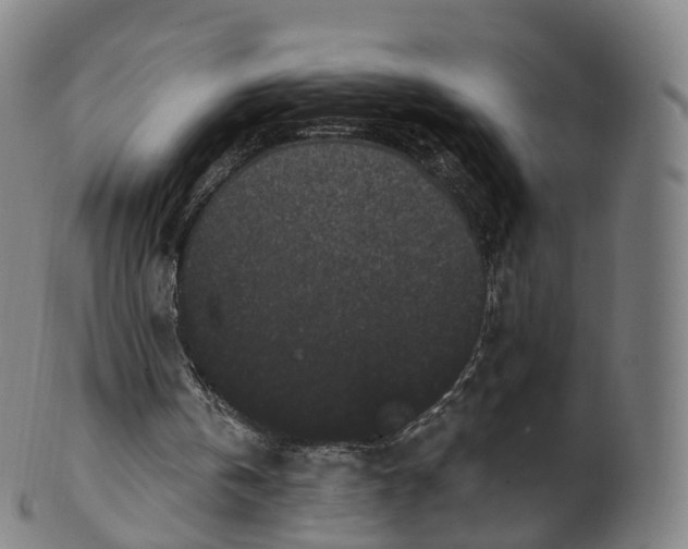 X0000099960146200806061614