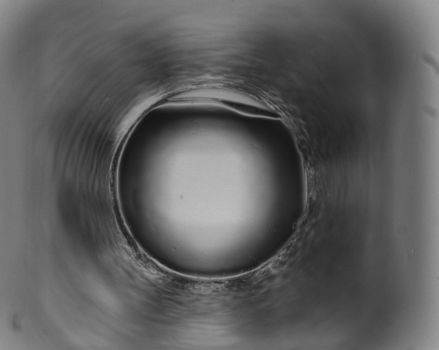 X0000099960147200806061614