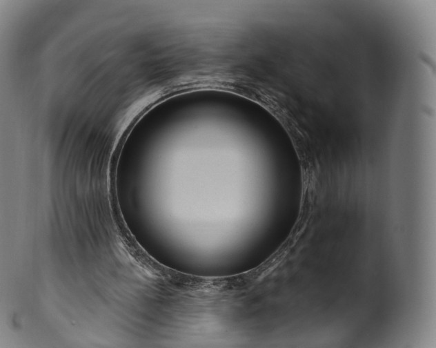 X0000099960148200806061614