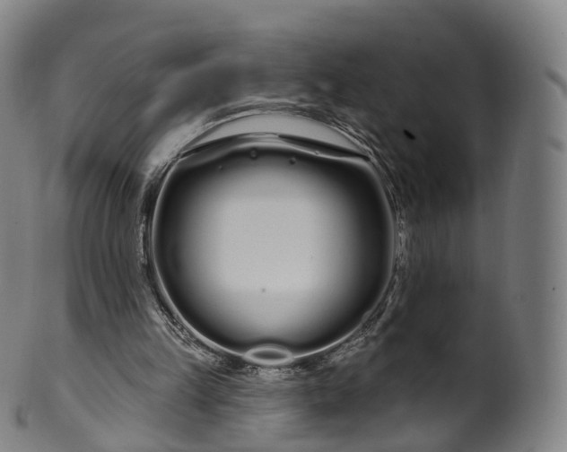 X0000099960149200806061614