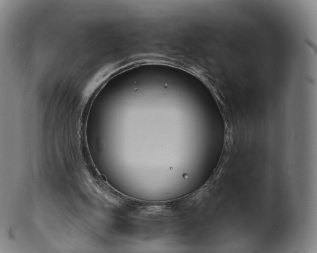 X0000099960151200806061614