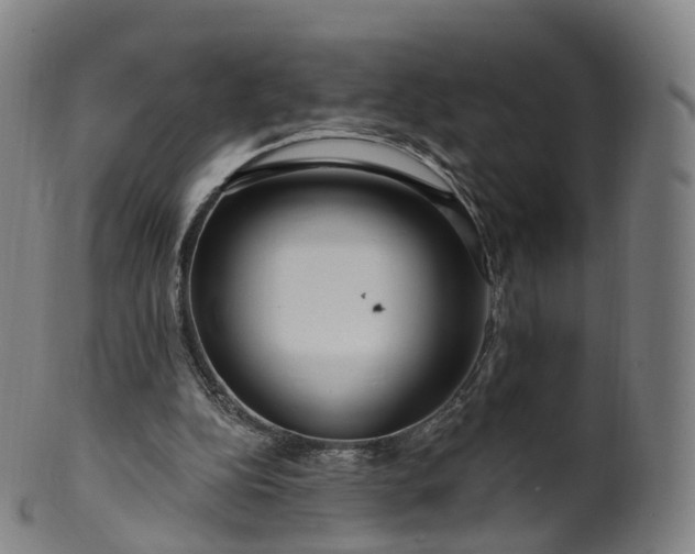 X0000099960152200806061614