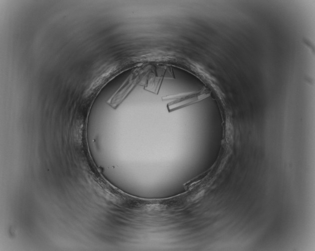 X0000099960153200806061614
