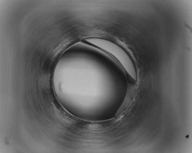 X0000099960154200806061614