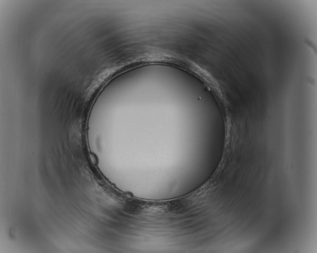 X0000099960155200806061614