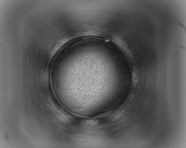 X0000099960156200806061614