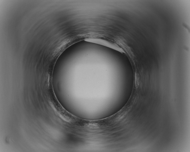 X0000099960157200806061614