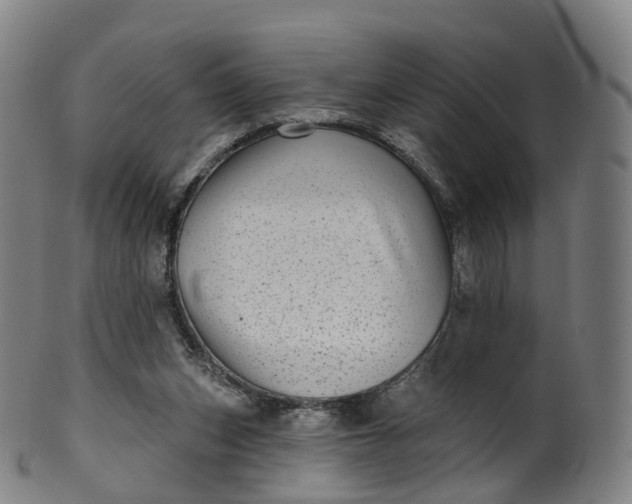 X0000099960159200806061614