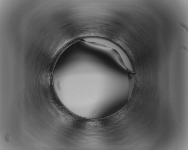 X0000099960160200806061614